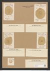 Campylodiscus pacificus Grun. (de-Toni-Nr.: Genus 57, Species 2496) Zeichnungen Sammlung Grunow Nr. 5002 (NHMW-BOT-W0373248)